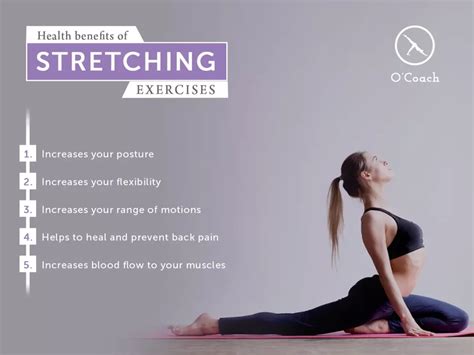 15 Mins Beginners Stretching Full Body Stretch Daily Routine For Flexibility And