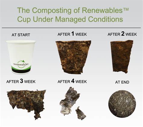 Renewable Resource Hot Cup Supplier And Manufacturer Renewables LLC