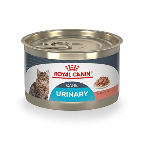 Royal Canin Feline Care Nutrition Urinary Care Thin Slices In Gravy Wet