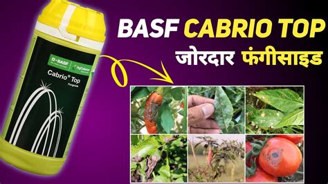 Basf Cabrio Top Fungicide Cabrio Top Metiram Pyraclostrobin