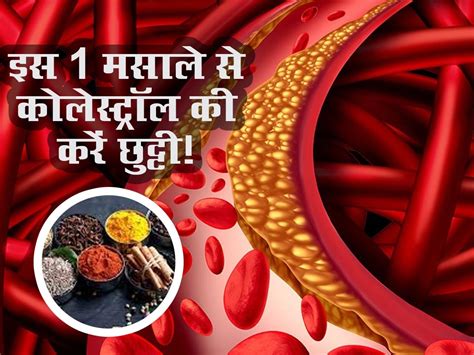 how to reduce cholesterol in 7 days कचन क कन म पड इस एक मसल