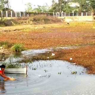 The Motijheel lake water is used for regular household chores. | Download Scientific Diagram