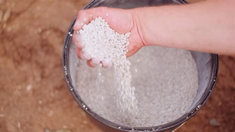 Free Stock Video Farmer Examining Herbicides Fertilizer In Hands