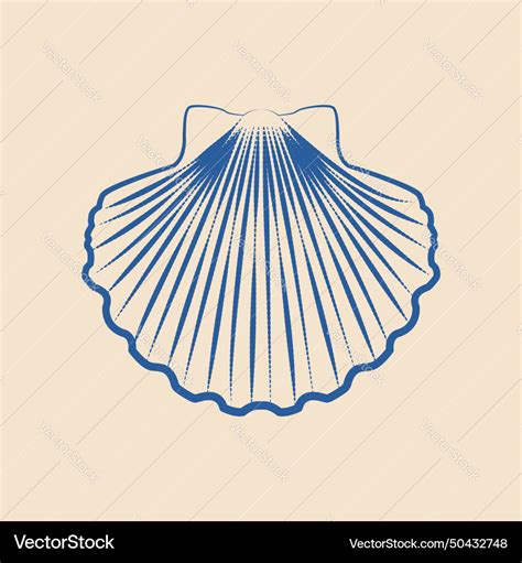 Shell logo or icon design for brand identity Vector Image