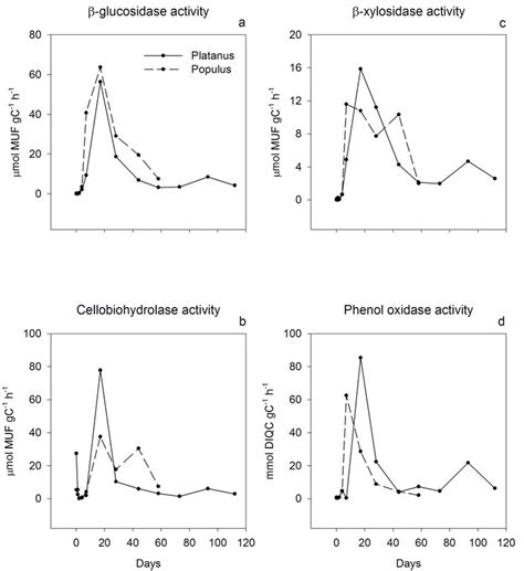 4 Biomass Specific Enzyme Activities β Glucosidase A β Xylosidase