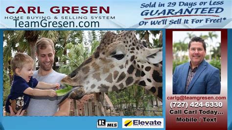 Top 1 Listing Agent In Hillsborough County FL YouTube