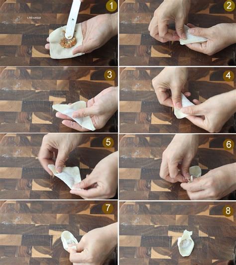 6 Ways To Wrap Wontons How To Fold Wontons A Daily Food