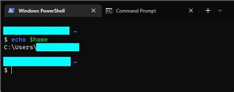 Windows Echo Access Environmental Variables From Powershell Stack Overflow