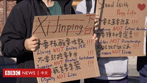 北京四通桥事件催生美国年轻华人政治表达 Bbc News 中文