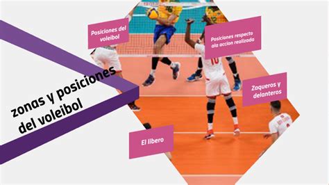 Total 48 Imagen Las Posiciones De Los Jugadores De Voleibol Viaterra Mx