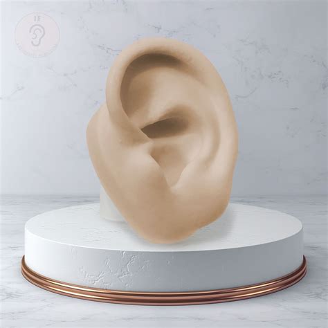 Kit Expositor Orelha Oval Nariz Umbigo Boca Nude Expositores De Silicone