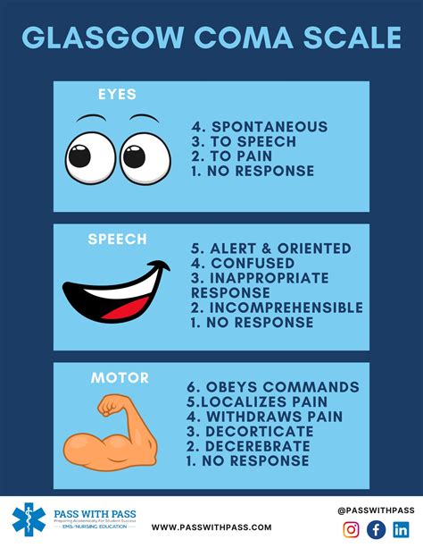 Glasgow Coma Scale Chart Gcs Etsy