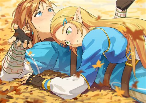 Download Princess Zelda Link Video Game The Legend Of Zelda Breath Of The Wild Art