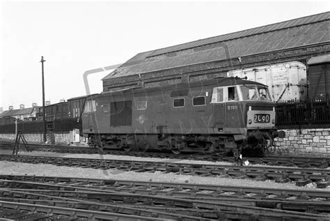 Rail Online Class 35 Hymek D7018 1963 08 Newton Abbot