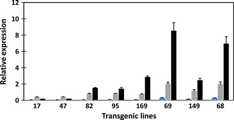 Real Time Qrt Pcr Analysis Of Transgene Expression In Transgenic Potato