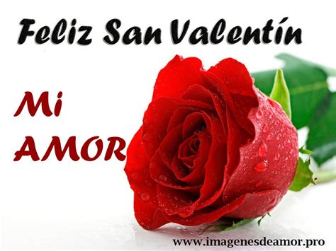 Im Genes De Rosas De Feliz De Febrero Imagenes De Amor Gratis