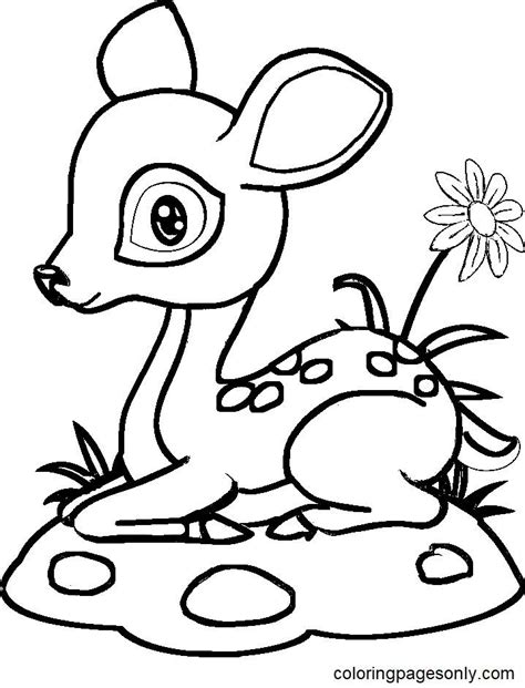 Fawn Coloring Pages | Deer coloring pages, Coloring pages, Animal drawings