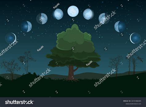 Cartoon Moon Phases Whole Cycle New Stock Vector (Royalty Free ...