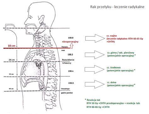 Rak Prze Yku Dum Spiro Spero Forum Onkologiczne