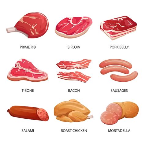 Premium Vector | Types of meat and meat products illustration