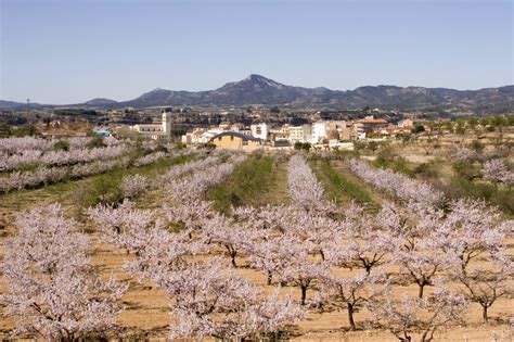 Mora Nova Turisme De La Ribera D Ebre