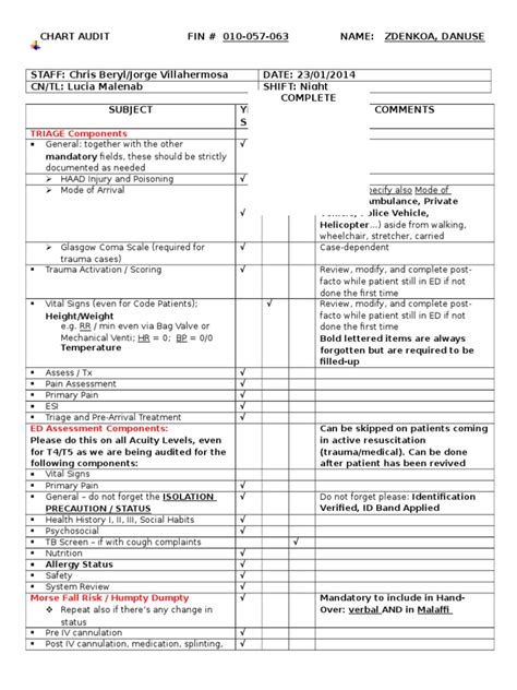 Printable Medical Chart Audit Template