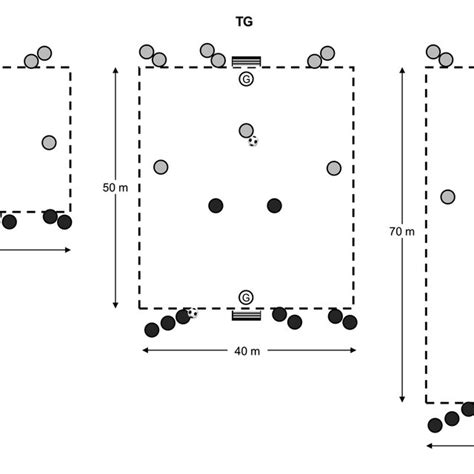 Graphical Representation Of Tgs Tg Transition Games Numbers To