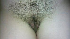 Chlupat Kunda Kunda Porn Pic