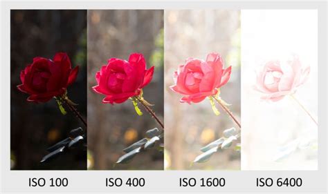 Iso Comparison