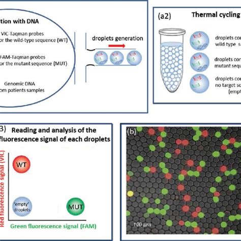 PDF Droplet Based Digital PCR And Next Generation Sequencing For