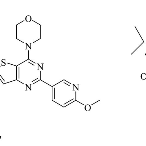 Representative structures of HDAC inhibitors | Download Scientific Diagram