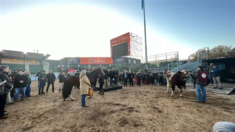 Productores Ovinos De Misiones Presentes En La Expo Rural De