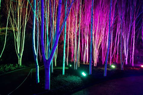 Anglesey Abbey Winter Lights - Pringle Farm