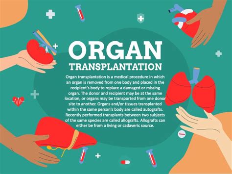 Organ Transplantation Powerpoint Slides Organ Transplant Powerpoint