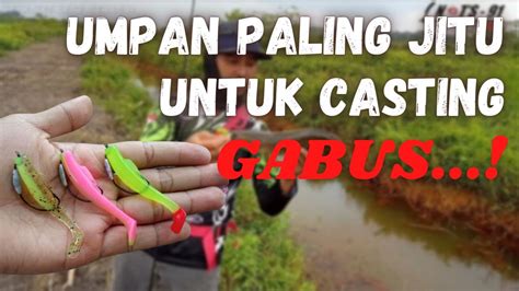 Casting Gabus Pakai Soft Lure Umpan Paling Jitu Ikan Gabus