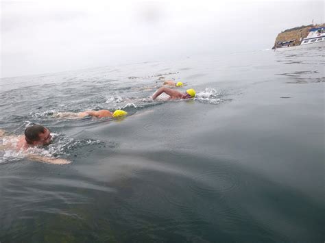 Swimdean — Catalina Channel Swim