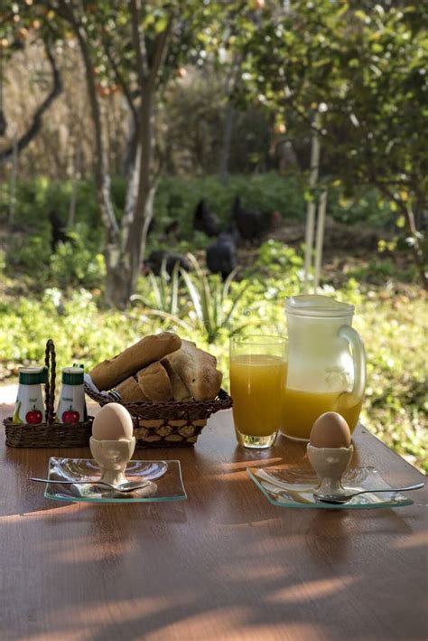 Breakfast Setup In A Farm Stock Photo Image Of Breakfast 84612760