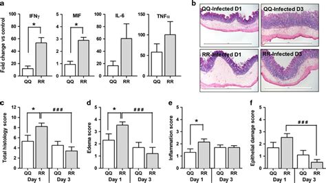 Leptin Receptor Q223r Polymorphism Influences Neutrophil Mobilization