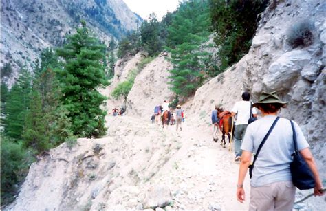 Fairy Meadows: Trekking from Tato Village to fairy meadows