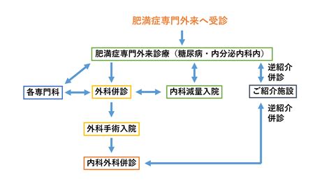 肥満症とは｜一宮市立市民病院