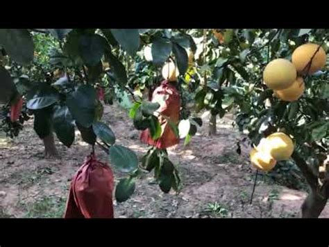 "Exploring Stunning Airport Landscapes" - YouTube