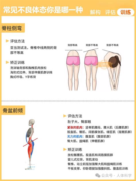 【体态评估】盘点常见不良体态评估方法和矫正训练 知乎