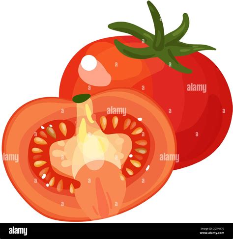 Tomato Fresh Vegetable Vector Concept Single And Half Healthy Diet