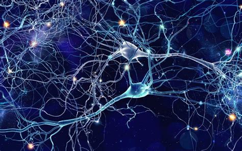 A novel, holistic model of monitoring homeostatic mechanisms during ...