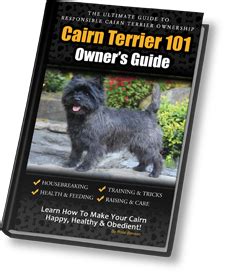 Cairn Terrier 101: Owner's Guide