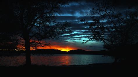 Wallpaper Sunlight Trees Landscape Sunset Night Nature