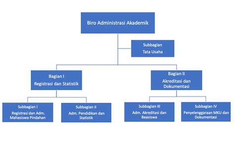 Struktur Organisasi Biro Administrasi Akademik