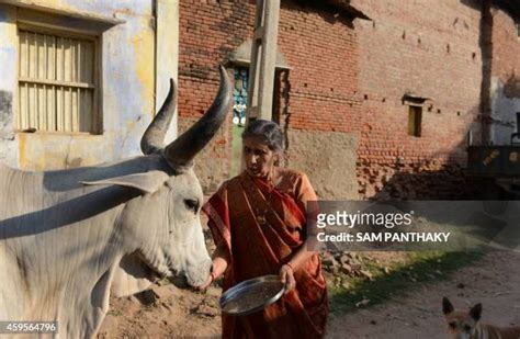 13 Jashodaben Modi Stock Photos, High-Res Pictures, and Images - Getty ...