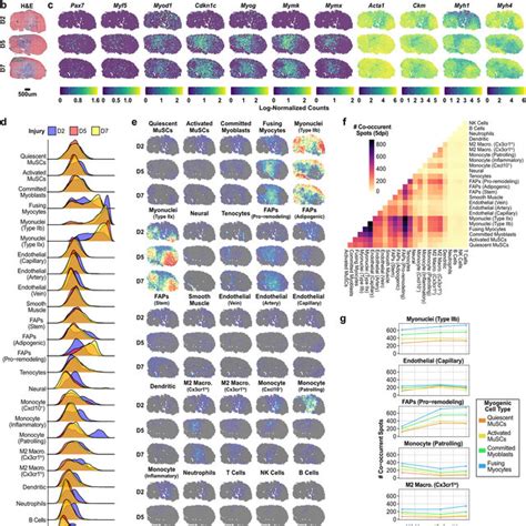 Deeply Profiled Cell Types Enable Deconvolution Of Spatial