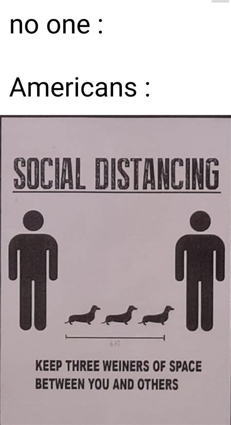 Thank you, very nice : r/memes